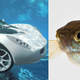 Illustration for article titled Ten cars that look like fish